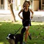 Roadrunner Running Dog Leash Hands Free